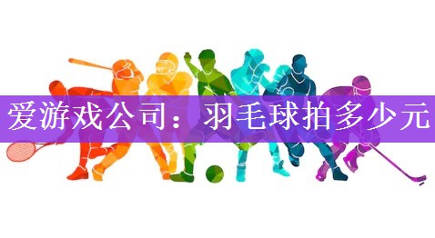 爱游戏公司：羽毛球拍多少元