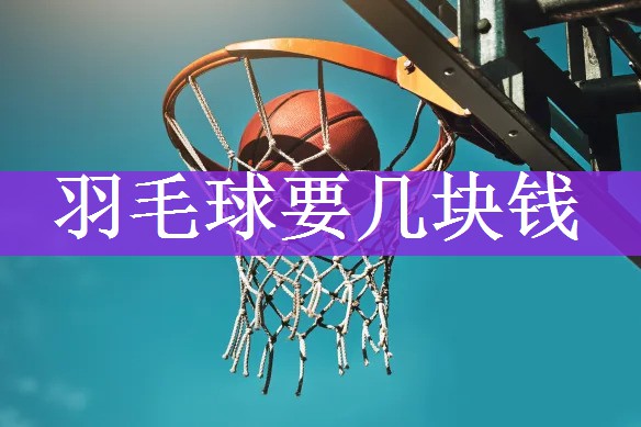 <strong>羽毛球要几块钱</strong>